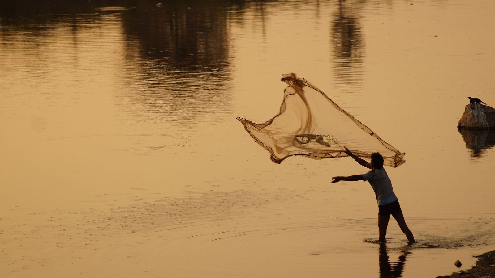 a person throwing a fishing net into a waterbody to cash fishes
