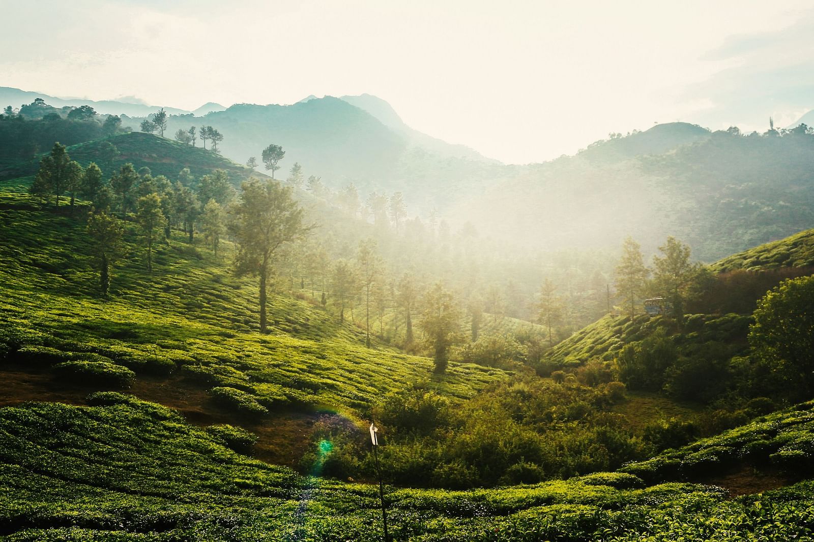 An overview of Wayanad's landscape with a mountain in the background