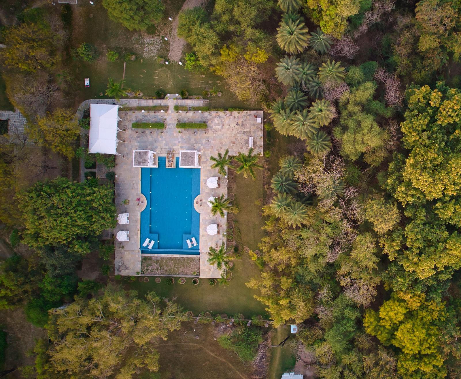 An aerial view of a rectangular pool adjacent to a building, surrounded by dense foliage and bordering a body of water- Shahpura Bagh.