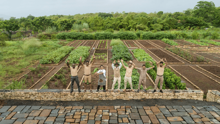staff enjoying the farms