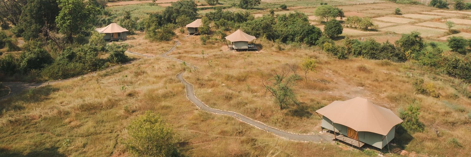 An aerial view of tents at Trees N Tigers, Tadoba.