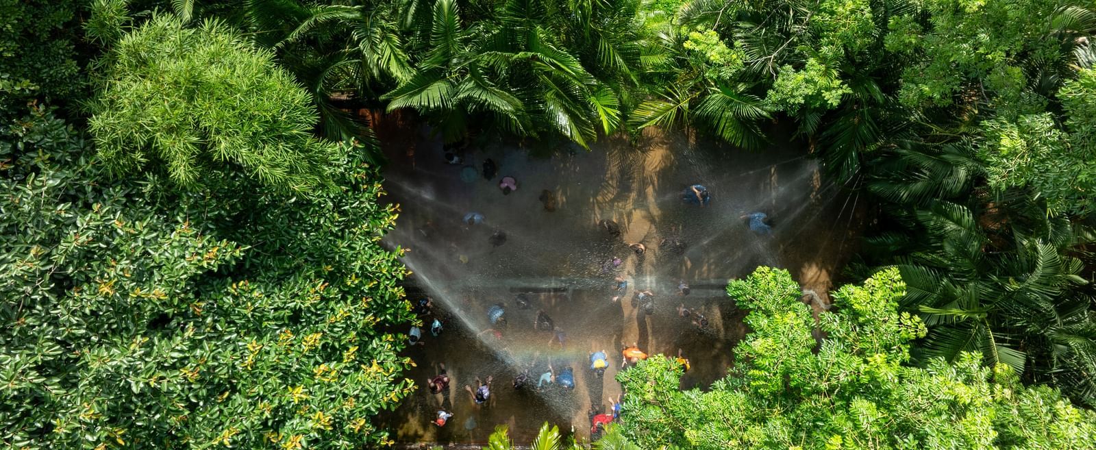 Dense green foliage and trees dominate the foreground, with a glimpse of water or a natural feature partially visible through the leaves | RD's Nature Retreat, Bangalore