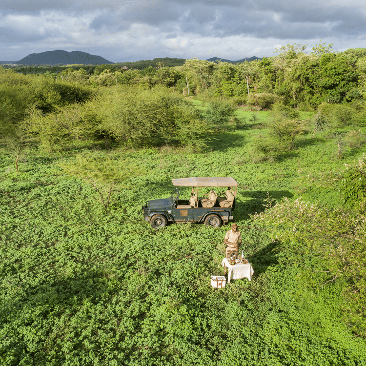 Take A Walk On The Wild Side, Aramness