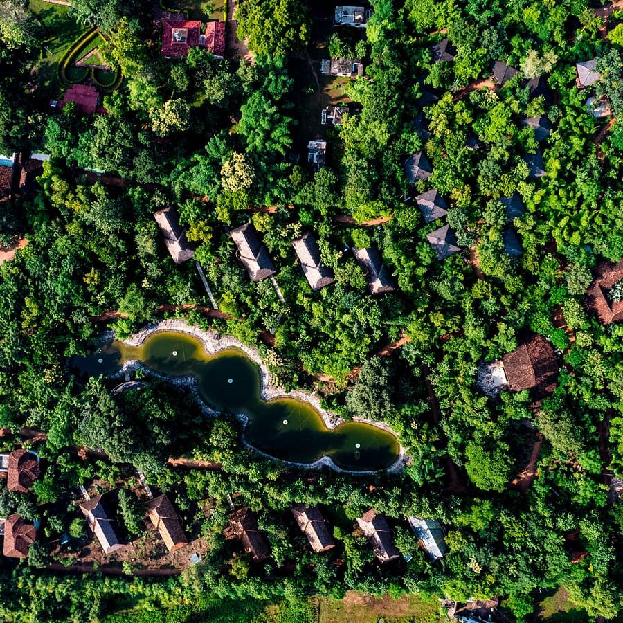 DJI 0666