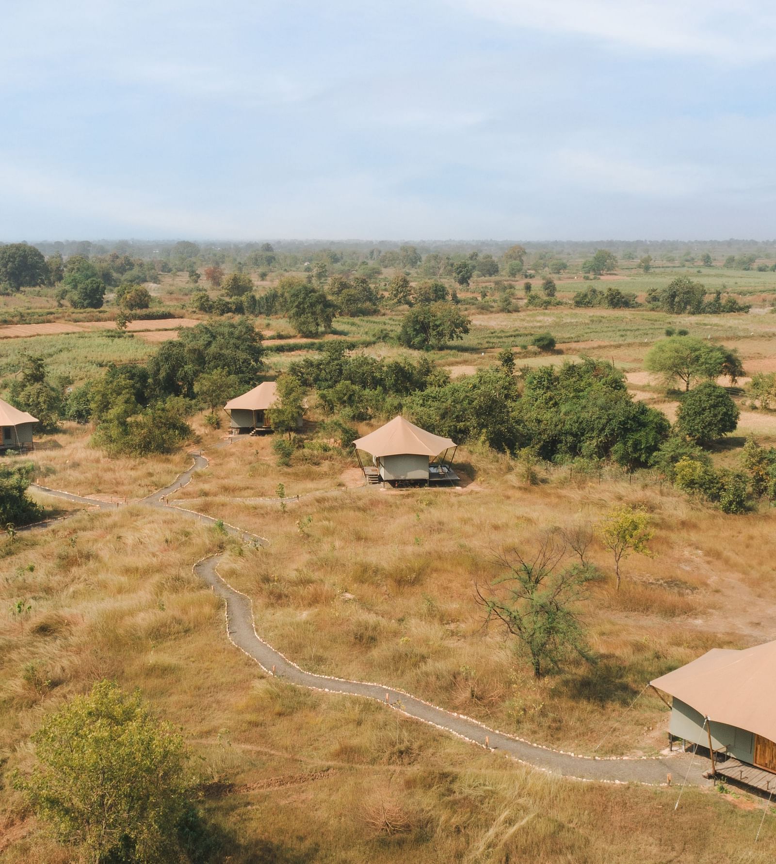 An aerial view of tents at Trees N Tigers, Tadoba.