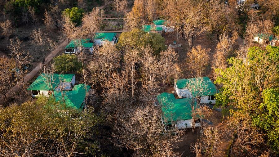 Riverwoods Kanha15