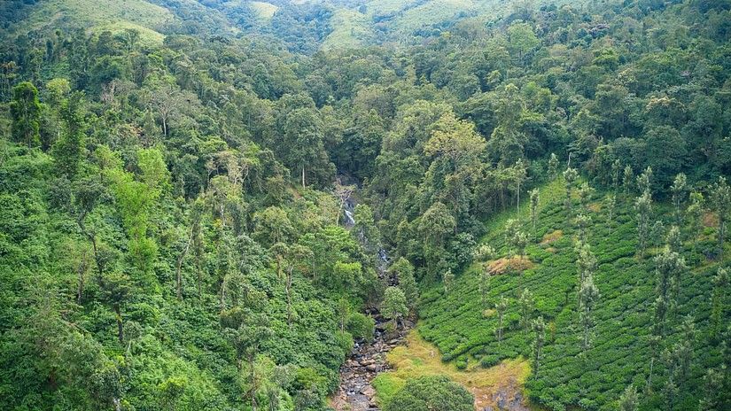 lush green hill view during daytime