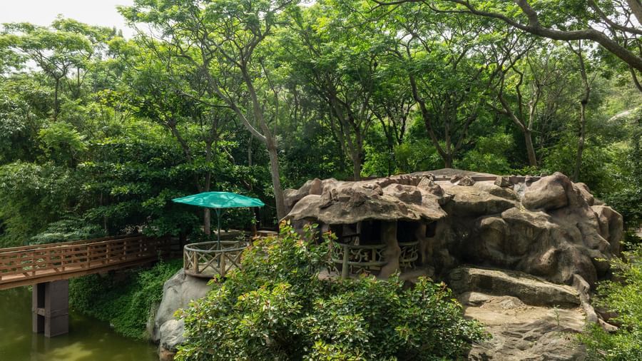 A green-roofed structure is nestled into a prominent rock formation beside a body of water, surrounded by abundant foliage | RD's Nature Retreat, Bangalore