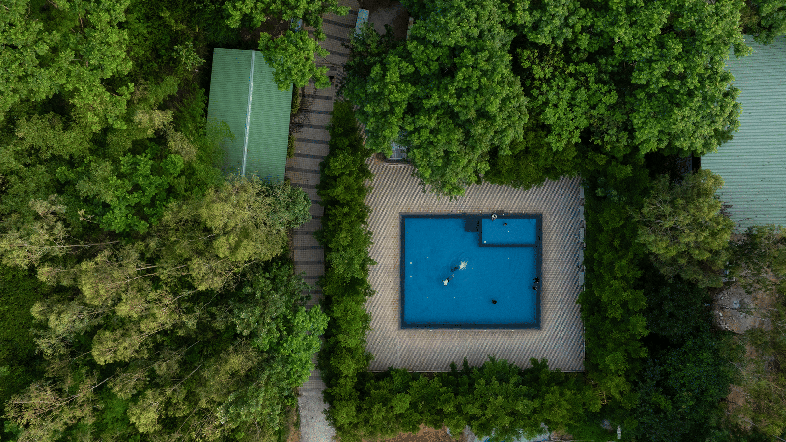 An aerial view of a rectangular swimming pool surrounded by lush green foliage and a small green-roofed building at RD's Nature Retreat, Bangalore - The perfect Weekend Outing Around Bangalore.