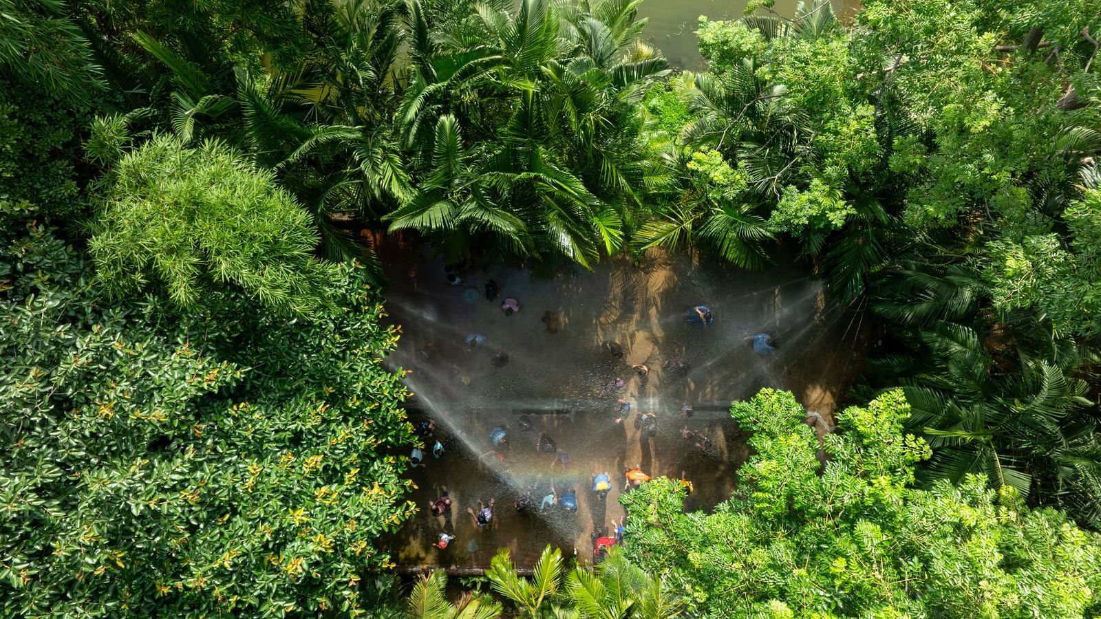 Dense green foliage and trees dominate the foreground, with a glimpse of water or a natural feature partially visible through the leaves | RD's Nature Retreat, Bangalore