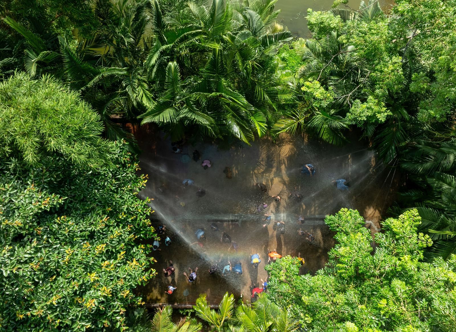 Dense green foliage and trees dominate the foreground, with a glimpse of water or a natural feature partially visible through the leaves | RD's Nature Retreat, Bangalore