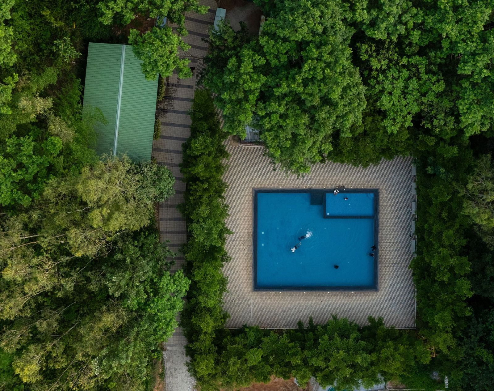 An aerial view shows a rectangular swimming pool surrounded by lush green foliage and a small green-roofed building | RD's Nature Retreat, Bangalore