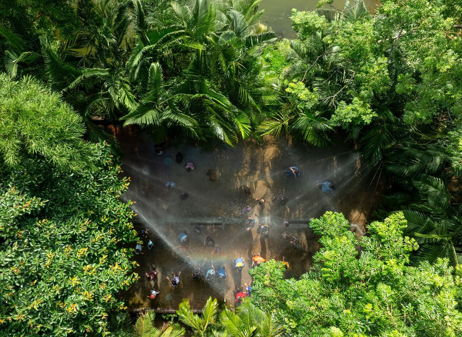 Dense green foliage and trees dominate the foreground, with a glimpse of water or a natural feature partially visible through the leaves | RD's Nature Retreat, Bangalore
