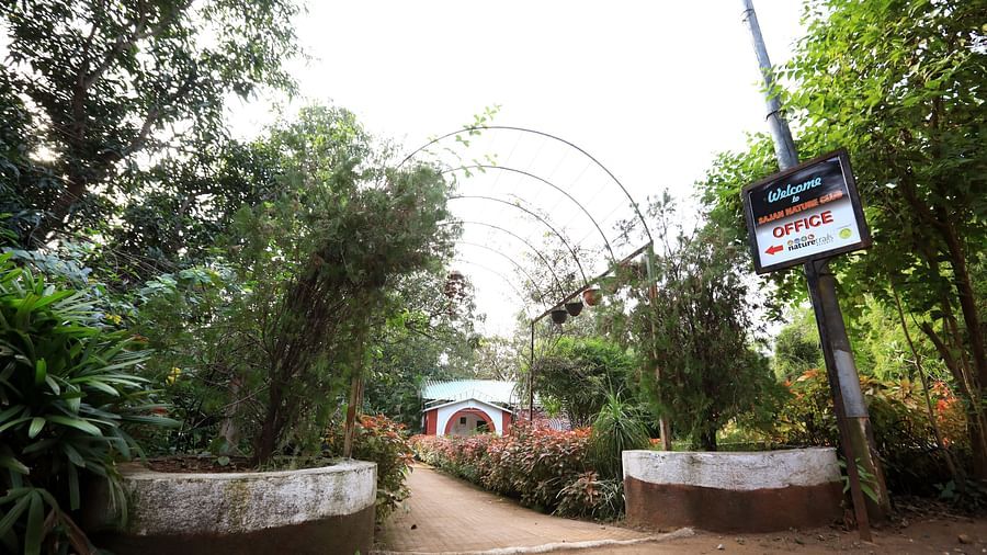 Entrance facade - Sajan - trees climbing up semi circular gates emrging out of well shaped shallow cement sructures.