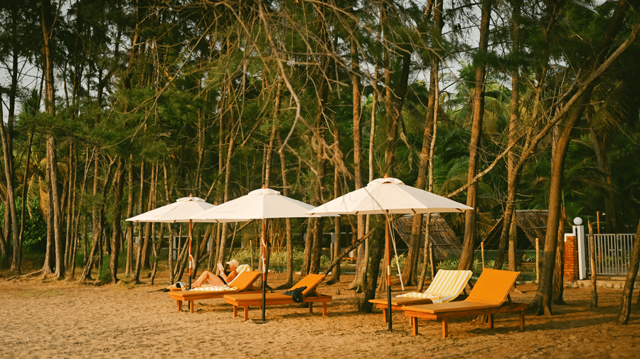 Multiple lounge chairs on a sandy beach at Ayur On The Beach Nattika resort with a grove of trees in the background.