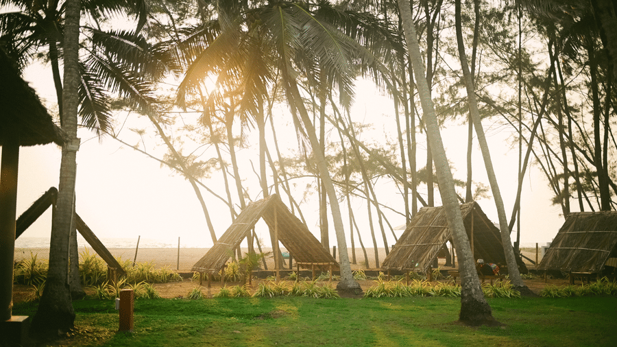 Ayur On The Beach Nattika private beach area featuring thatched huts nestled among tall palm trees at sunset.