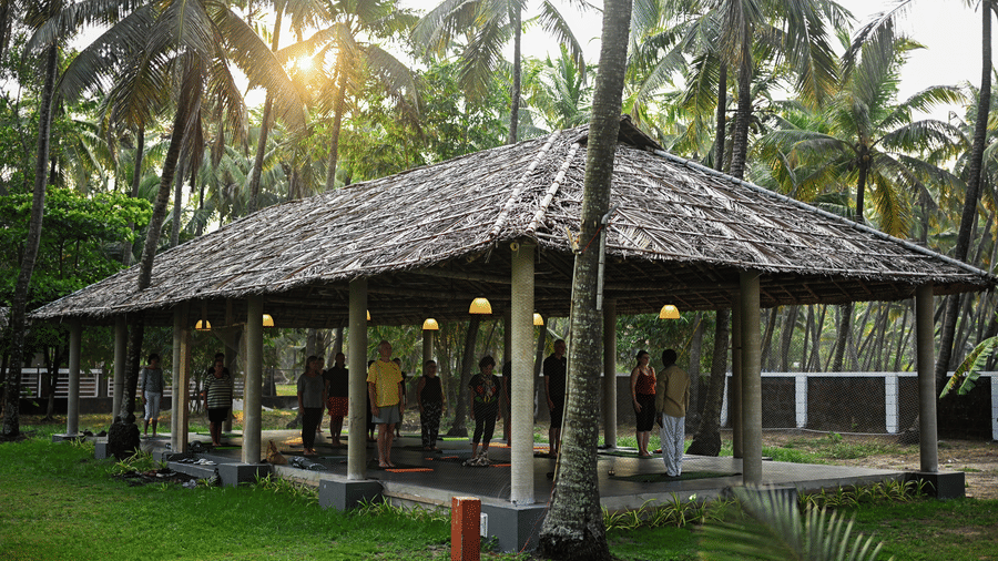 An open-air yoga pavilion nestled among palm trees on the grounds of Ayur On The Beach Nattika.