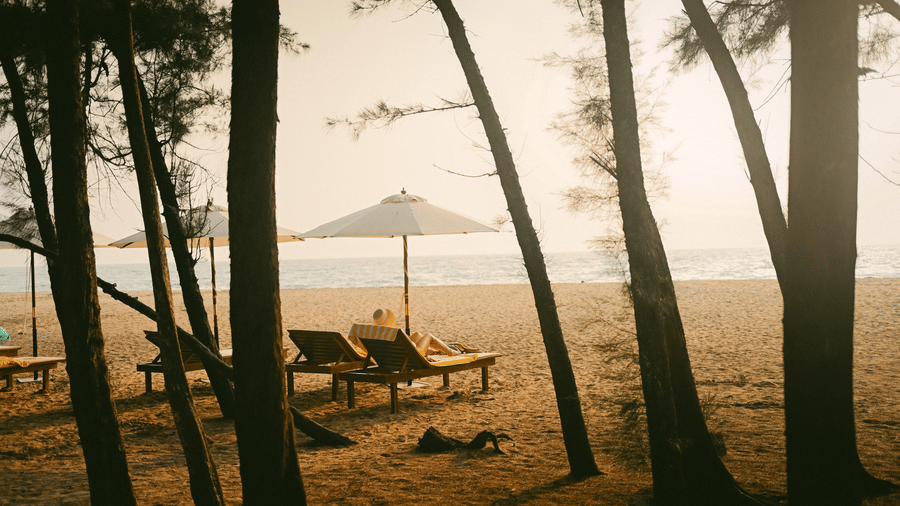 Sun loungers and parasols on the sandy shore with a grove of trees in the foreground at Ayur On The Beach Nattika.