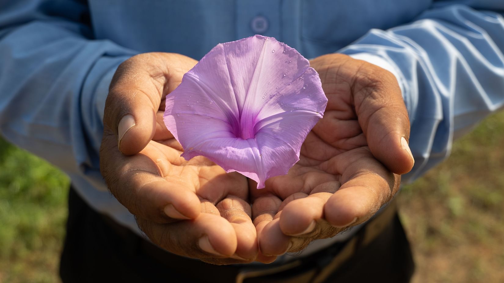 A close up shot of a person holding a flower - Karma Lakelands.
