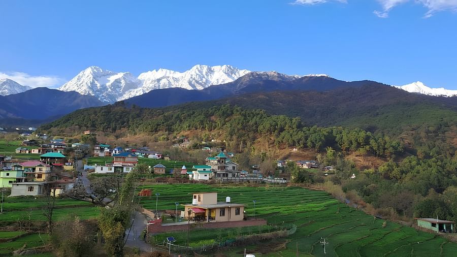 Landscape scenario of Palampur