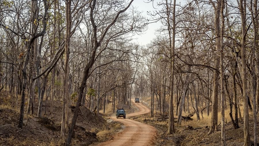 Waxpol Hotels and Resorts  Jeep