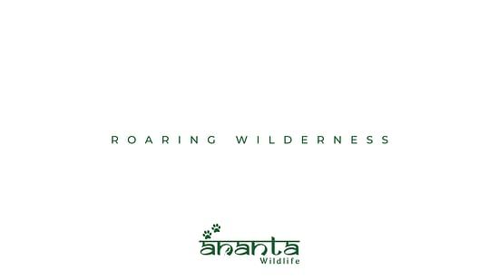 Ananta Wildlife Brochure page-0001