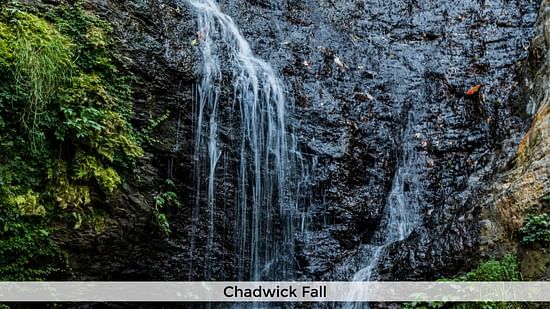 Chadwick fall
