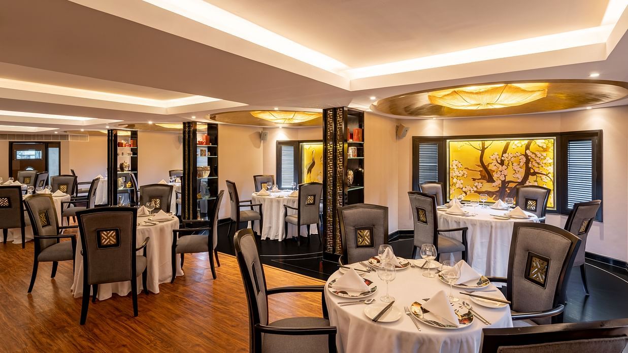 Chin Chin - Chinese restaurant in Chennai 11