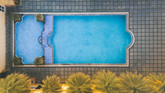An aerial view image of a swimming and next to it there are several palm trees - The Garden Ananta Elite, Rajkot