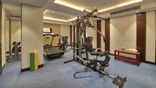 Gym at our hotel on MI Road, Golden Tulip Essential, Jaipur