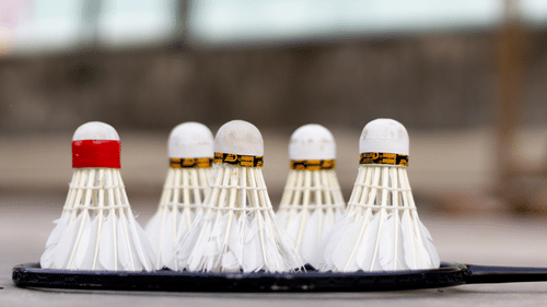 Shuttle feathers and a badminton racket at our outdoor games area 