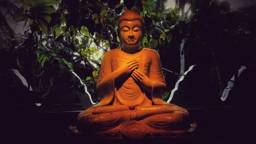 a statue of buddha with lights on the statue and plants covering the background