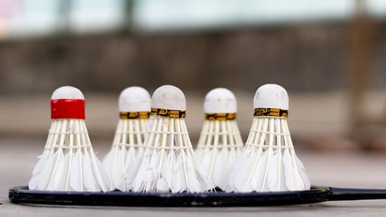 Shuttle feathers and a badminton racket at our outdoor games area 