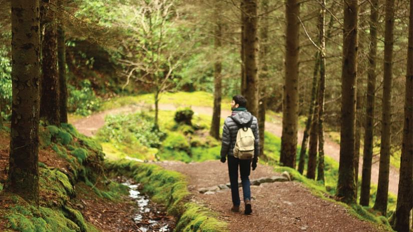 Trekking
