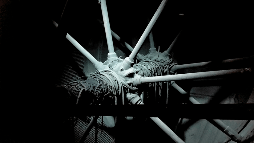 Spikes of a wheel illuminated with a bright light