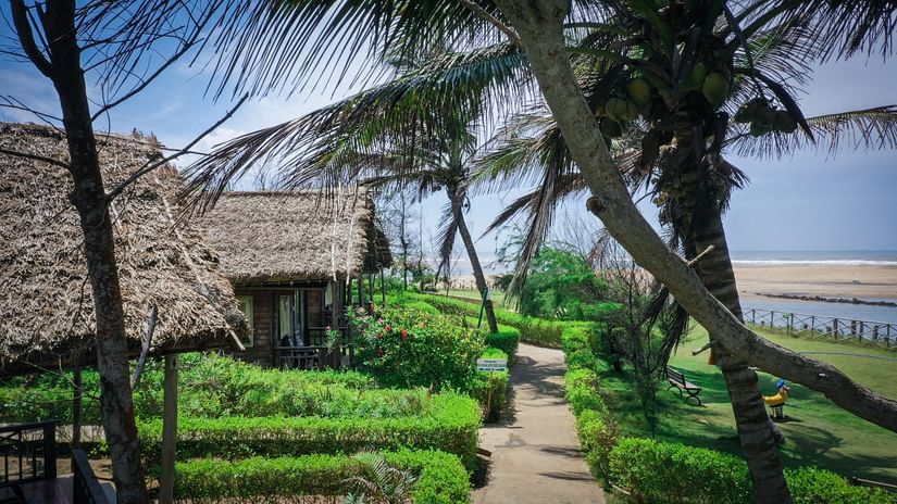  A tranquil path at Lotus Eco Beach Resort leads through lush gardens, flanked by swaying palm trees and thatched-roof cottages, with the sea breeze hinting at the nearby ocean.