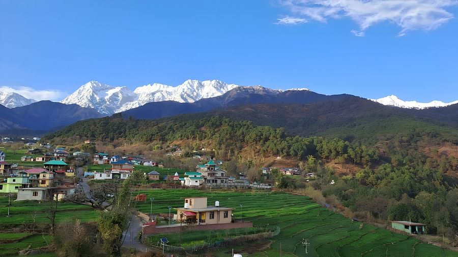 Mountain View (7)