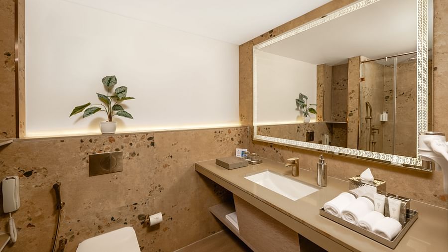 A washroom featuring a mirror and toiletries placed next to the basin at Cloud9 Sarovar Premiere, Palolem Goa 