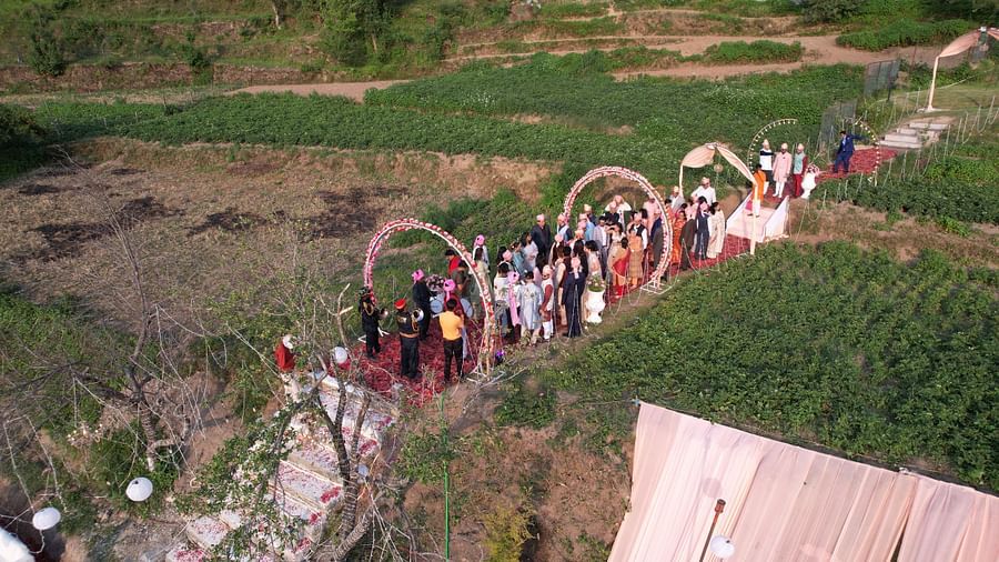 A group of people entering through a beautifully decorated entrance to an outdoor wedding venue.