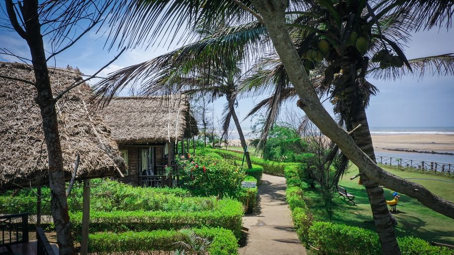  A tranquil path at Lotus Eco Beach Resort leads through lush gardens, flanked by swaying palm trees and thatched-roof cottages, with the sea breeze hinting at the nearby ocean.