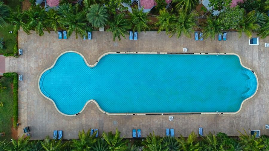 Swimming pool at Chariot Beach Resort in Mahabalipuram 3