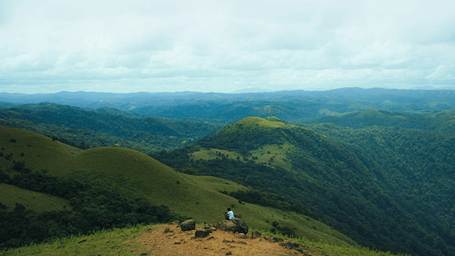 Panoramic view of rolling hills and forest valleys from Mandalpatti Peak in Coorg.