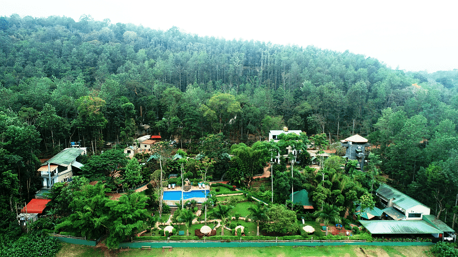 Aerial view of Coorg Jungle Camp Backwater Resort, Kushalnagar surround by lush greenery.