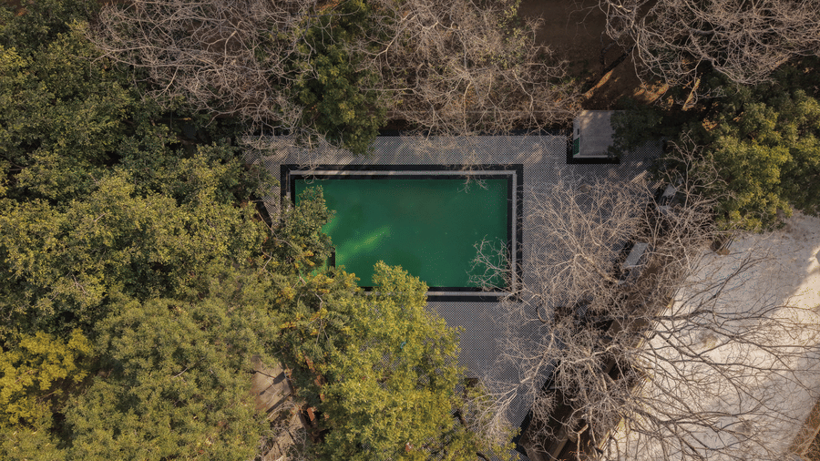 Direct overhead view of a rectangular swimming pool at Estherea Bagh, Ranthambore, surrounded by trees and a grey deck.