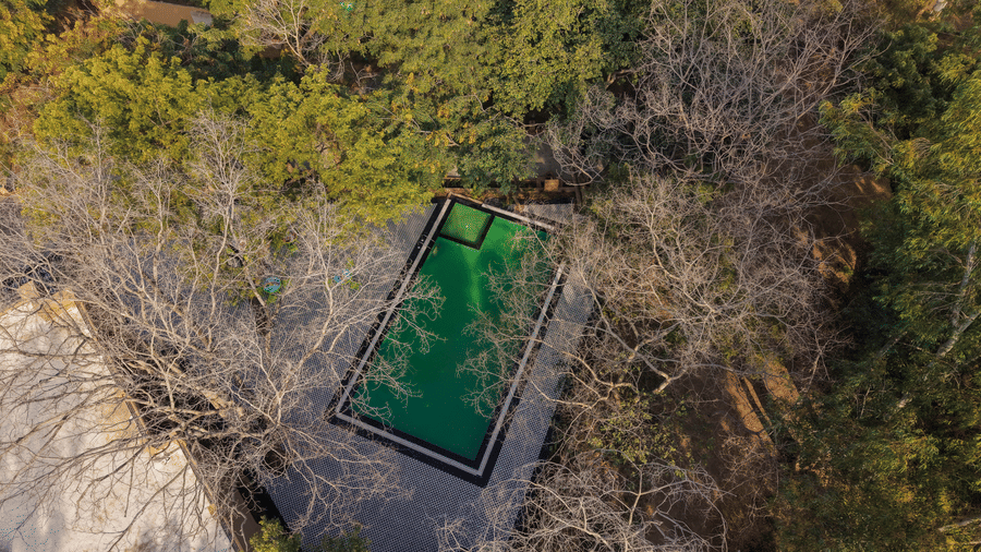 High-angle shot of an outdoor swimming pool at Estherea Bagh, Ranthambore, tucked away within a dense grove of trees.