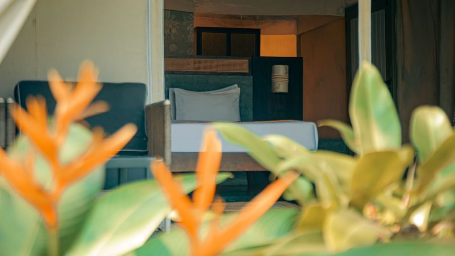 Close-up of bed with blurred orange flowers and green leaves in the foreground at Fireflies Resorts, Kabini.