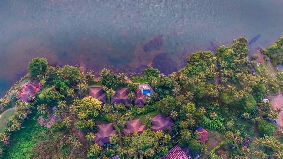 Aerial view of a tropical landscape with colorful flowers and greenery.