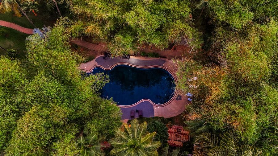 Aerial view of a private pool surrounded by lush greenery.