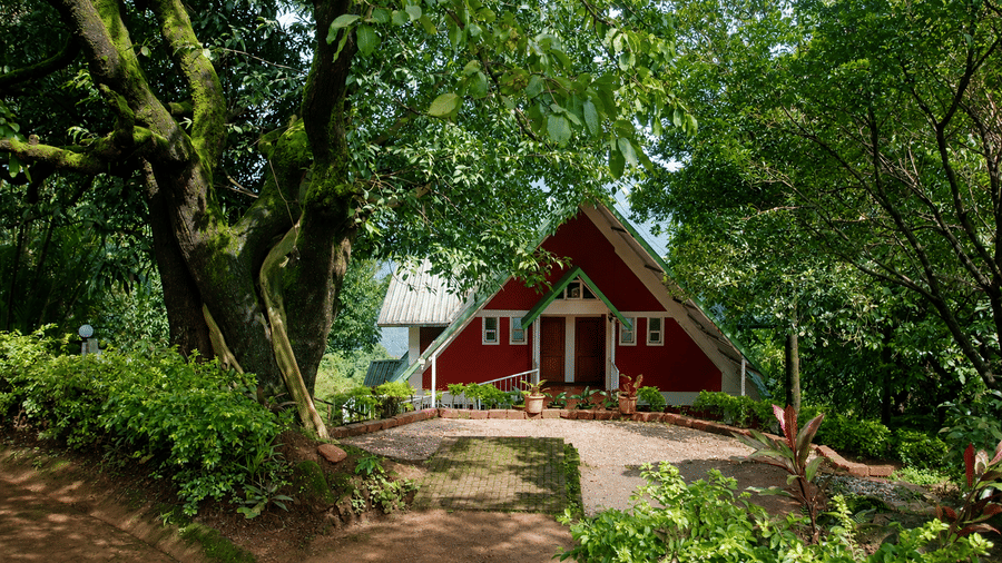 A frame chalet with trim, a steeply pitched roof, and a front pathway surrounded by mature trees at Wind Chalet.