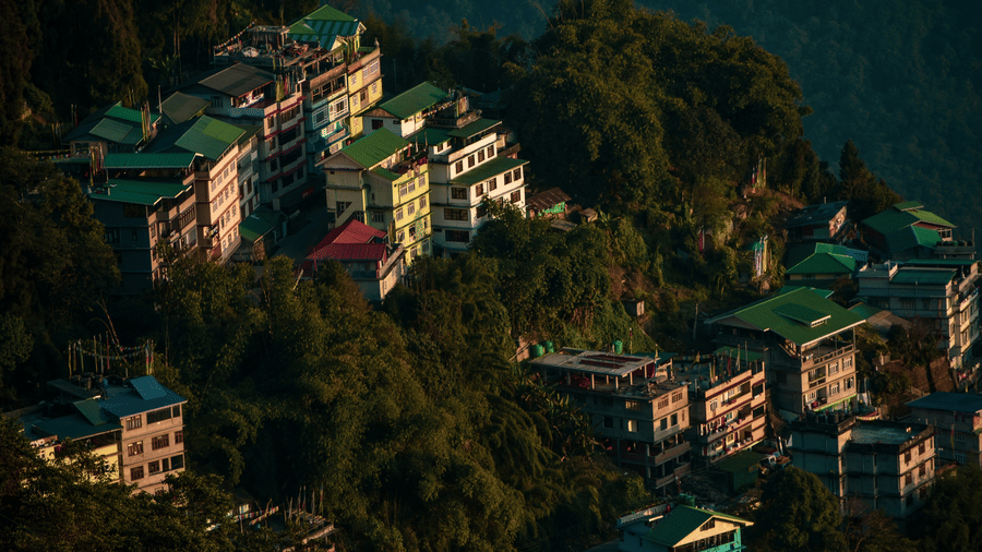 An aerial perspective displays multiple buildings nestled tightly on a steep hillside covered in dense green trees.